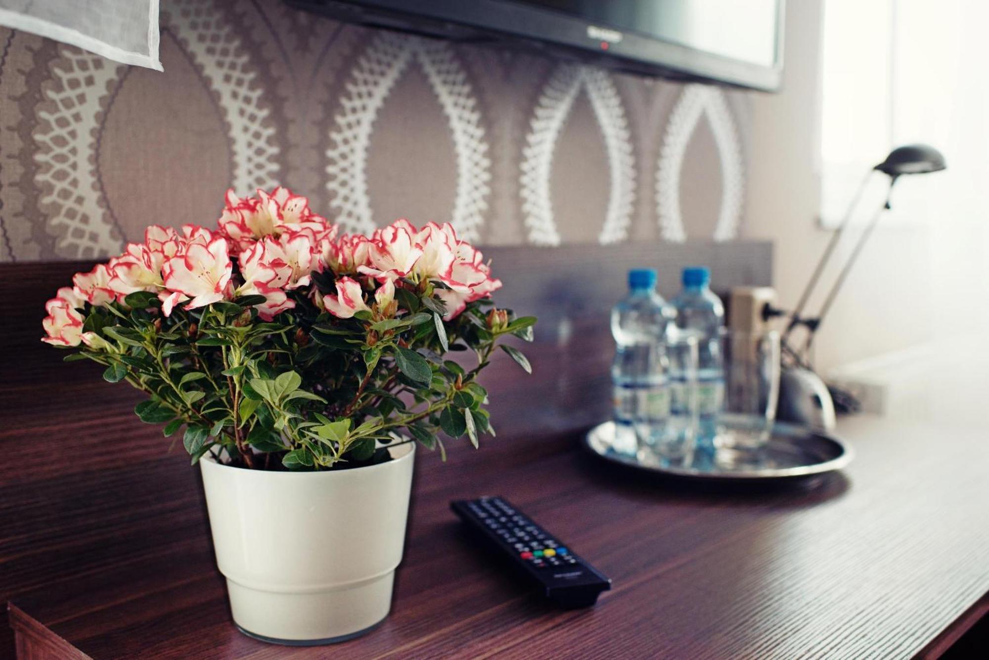 Makara Hotell Katowice Eksteriør bilde